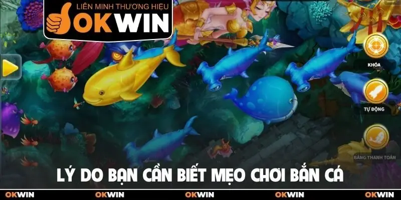 7 Mẹo Chơi Bắn Cá Đỉnh Của Chóp Thu Về Thưởng Cực Lớn 1 Lý do bạn cần biết mẹo chơi bắn cá